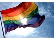 Contratar Advocacia em Direito Homoafetivo em Aricanduva